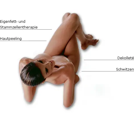 Hautbereich Übersicht Hautbereich Übersicht