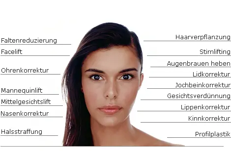 Kopfbereich Übersicht Kopfbereich Übersicht